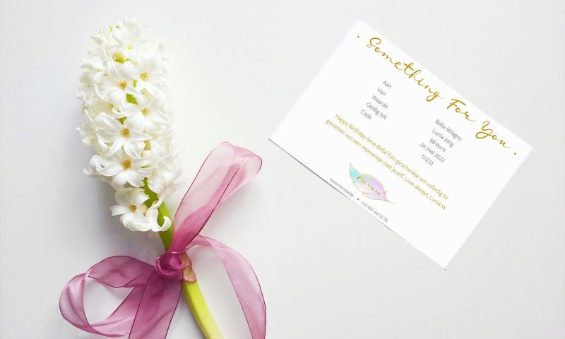 detail van zachte mooie lichtinval die op varens valt