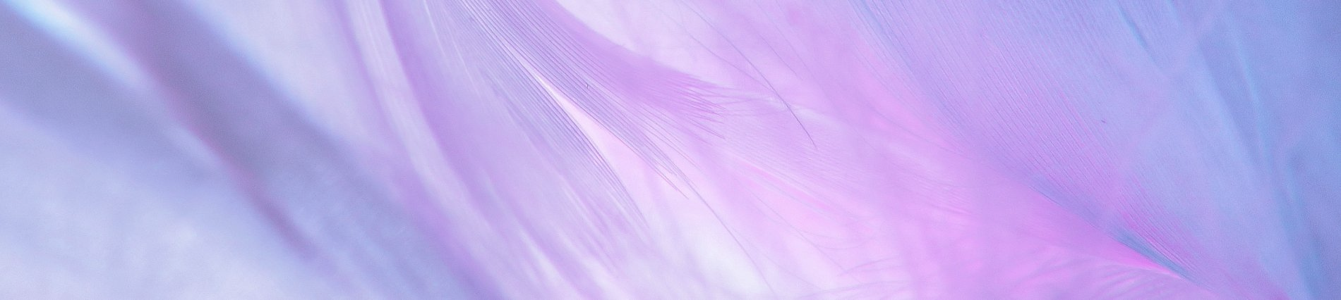 detail van paars blauw roze veren